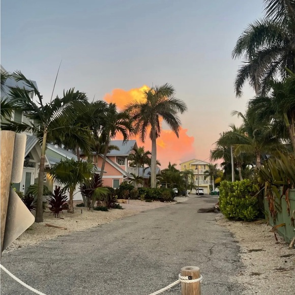 Meet your Posher, Ava - Picture 1 of 1